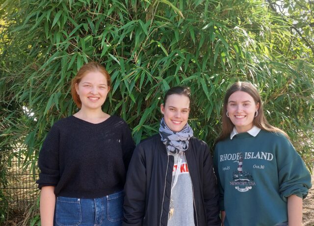 Drei junge Frauen stehen vor einem Bambus und lächeln in die Kamera